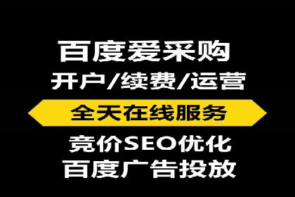 SEM搜索引擎优化成功案例，揭示优化策略与技巧